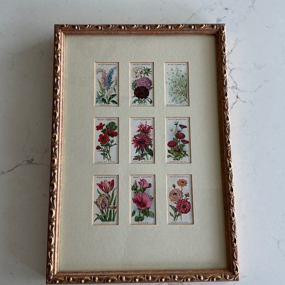 Vintage Alpine flower cards by Will’s Cigarette’s - Picture 1 of 2